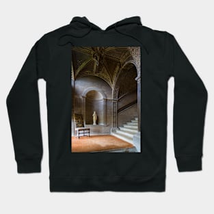 Burghley house4 Hoodie